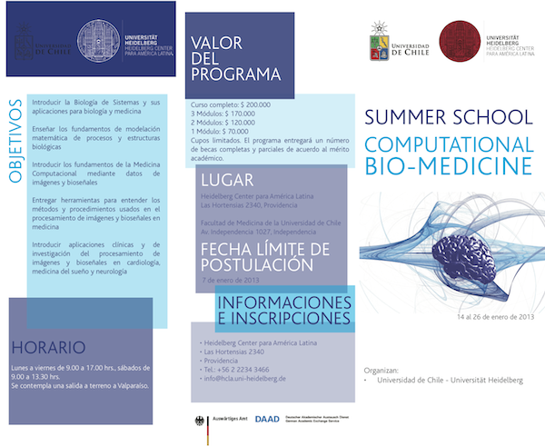 2013_triptico_summer_school_comp_biomed_p1_600px