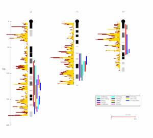 chromPlot_paper_figure